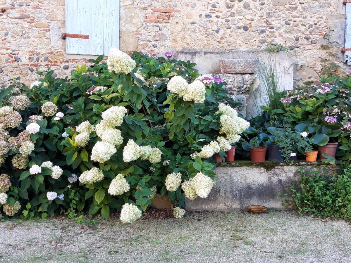 Le Pouy Bed & Breakfast Termes-d'Armagnac Екстериор снимка
